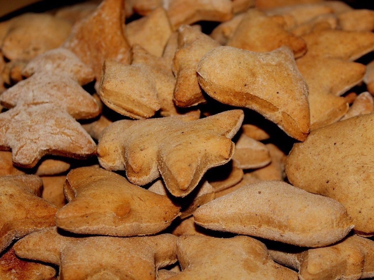 Mevsimlik Özel